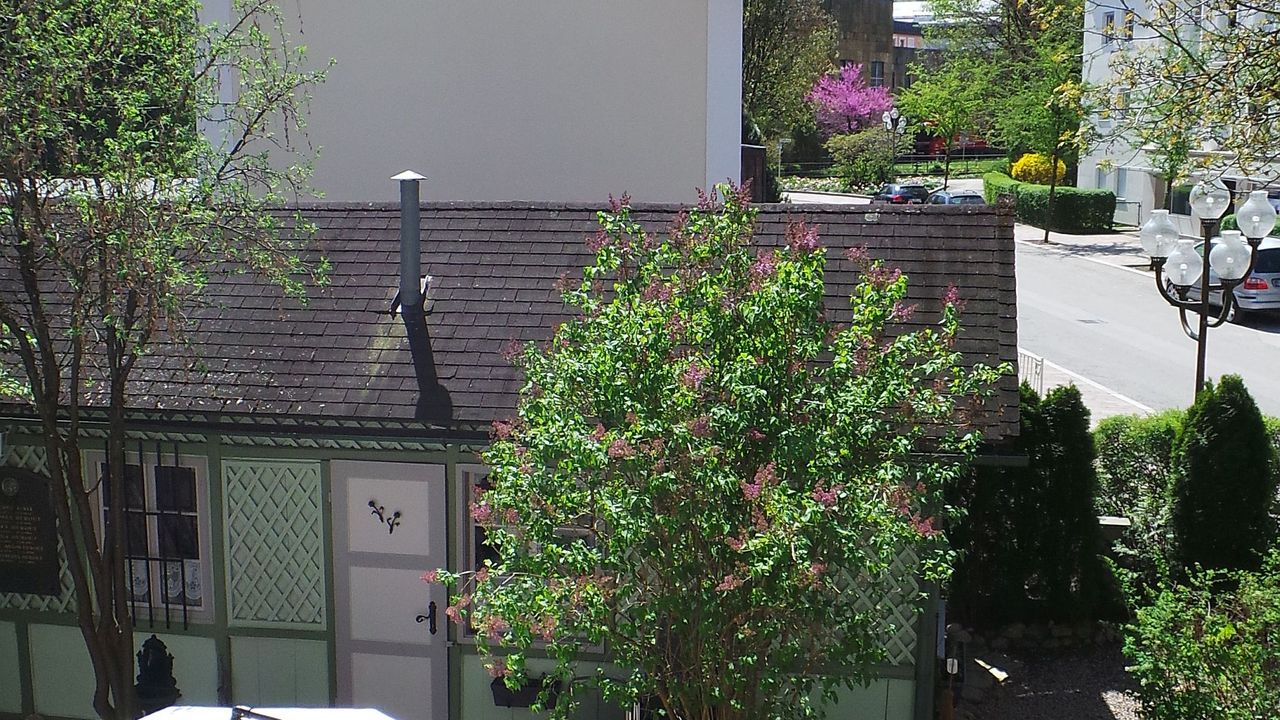 Gartenblick vom Südbalkon Gartenblick vom Südbalkon